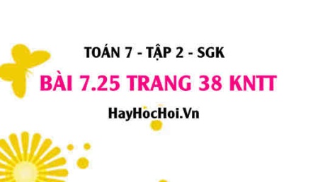 Bài 7.25 trang 38 Toán 7 Tập 2 Kết nối tri thức
